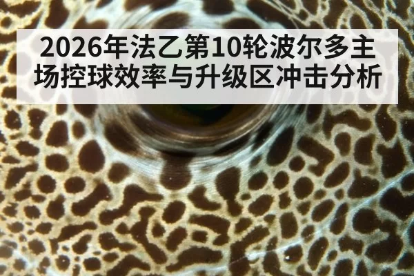 2026年法乙第10轮波尔多主场控球效率与升级区冲击分析